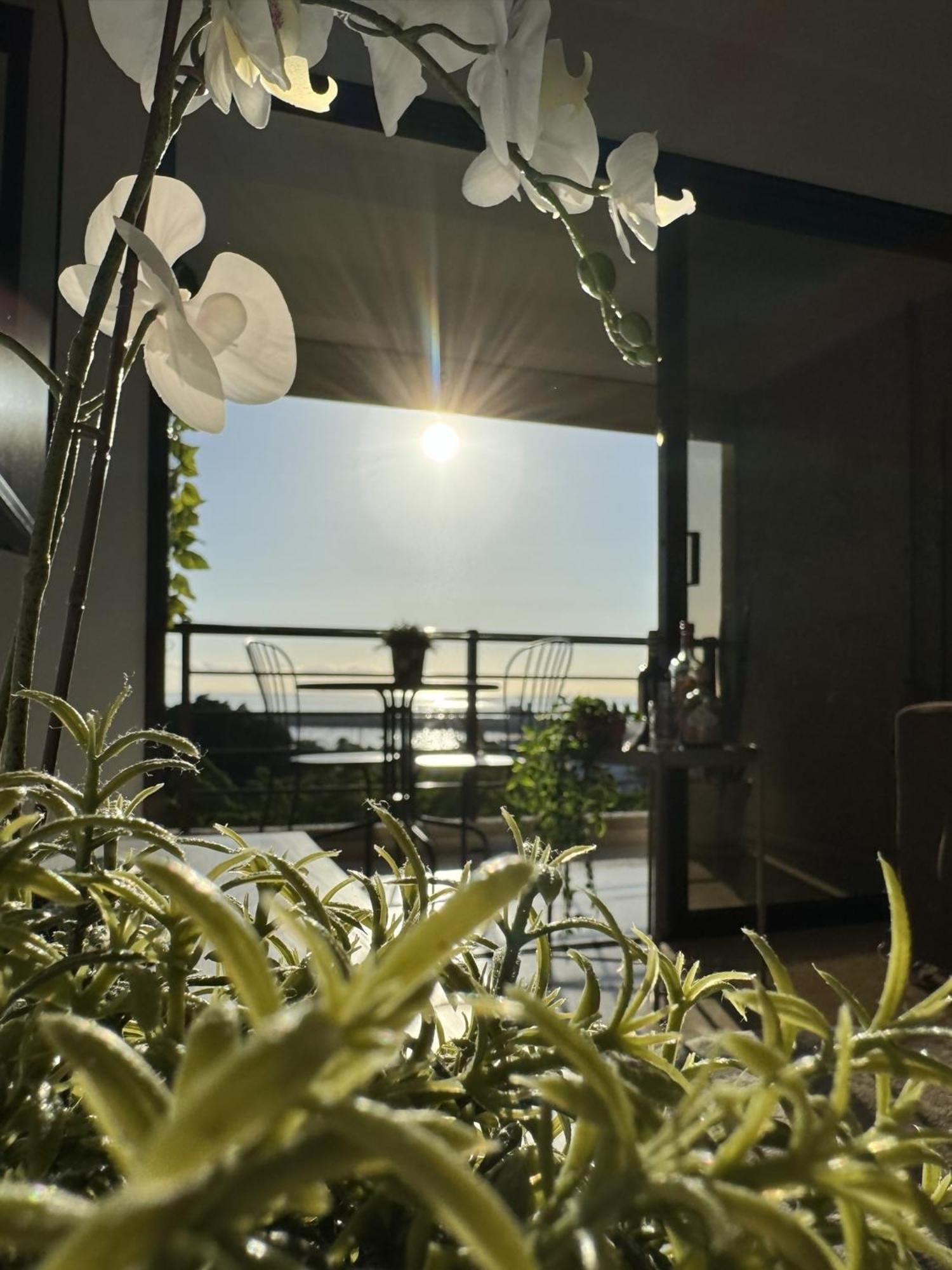 Sovhispan Sc Tenerife Piscina Санта-Крус-де-Тенеріфе Екстер'єр фото